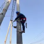 Upgraded Non-Slip Tree Climbing Spikes - Professional Climbing Shoes with Foot Buckle for Electricians - Perfect for Smooth Electric Poles & Tree Trimming Tasks
