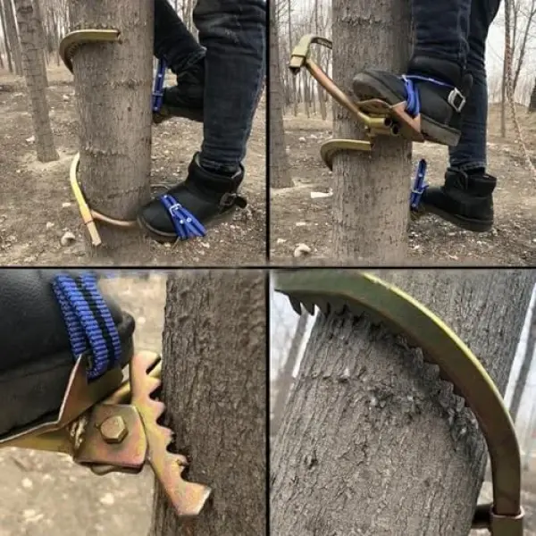 Upgraded Non-Slip Tree Climbing Spikes - Professional Climbing Shoes with Foot Buckle for Electricians - Perfect for Smooth Electric Poles & Tree Trimming Tasks