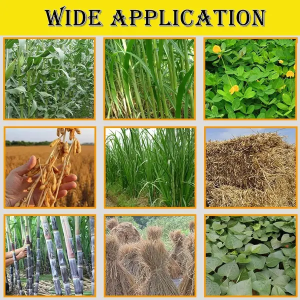 6-Blade Hay Cutter and Kneading Machine Grass Silage Machine Dry-Wet Straw Cutting Machine Crop Cutters with Chain Plate Type Conveyor 220V 3KW