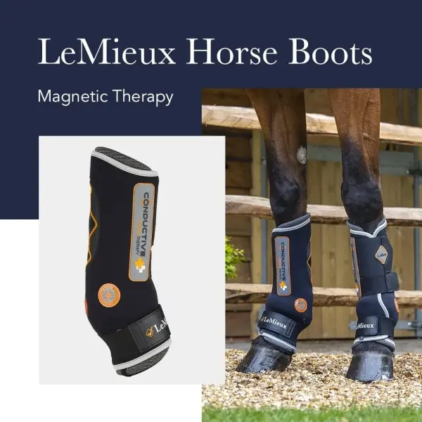 LeMieux Magno Horse Boots - Magnetic Therapy Conductive Boots Protective Gear and Training Equipment - Equine Boots, Wraps & Accessories