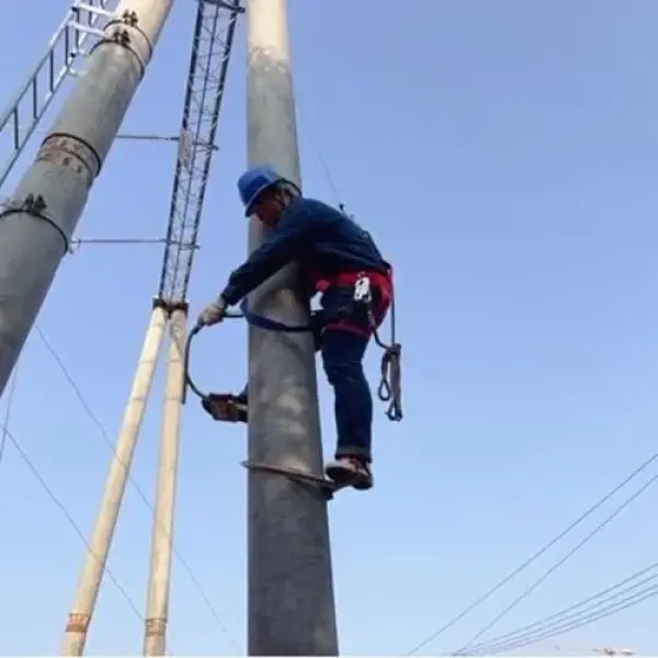 Professional Tree Climbing Spikes - Upgraded 400D Non-Slip Foot Buckle Shoes for Electricians, Comfortable, Safe & Stable Pole Climbing Gear for Tree Services