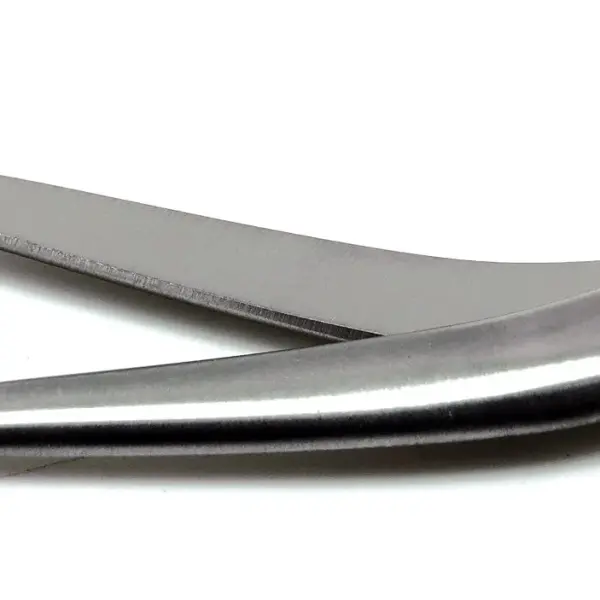 10× Universal Curved Scissor 6" Embroidery Tailor Dressmaking Surgical Stainless Steel Instruments